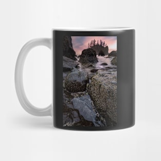 Tide Pools at Sunset Mug